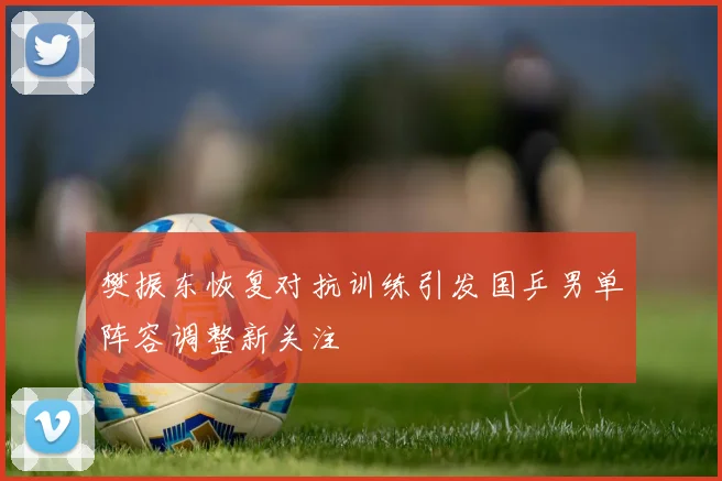 樊振东恢复对抗训练引发国乒男单阵容调整新关注